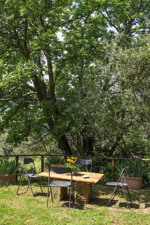 Holiday Home Casolare Ser Chelino By Interhome Volterra Exterior photo